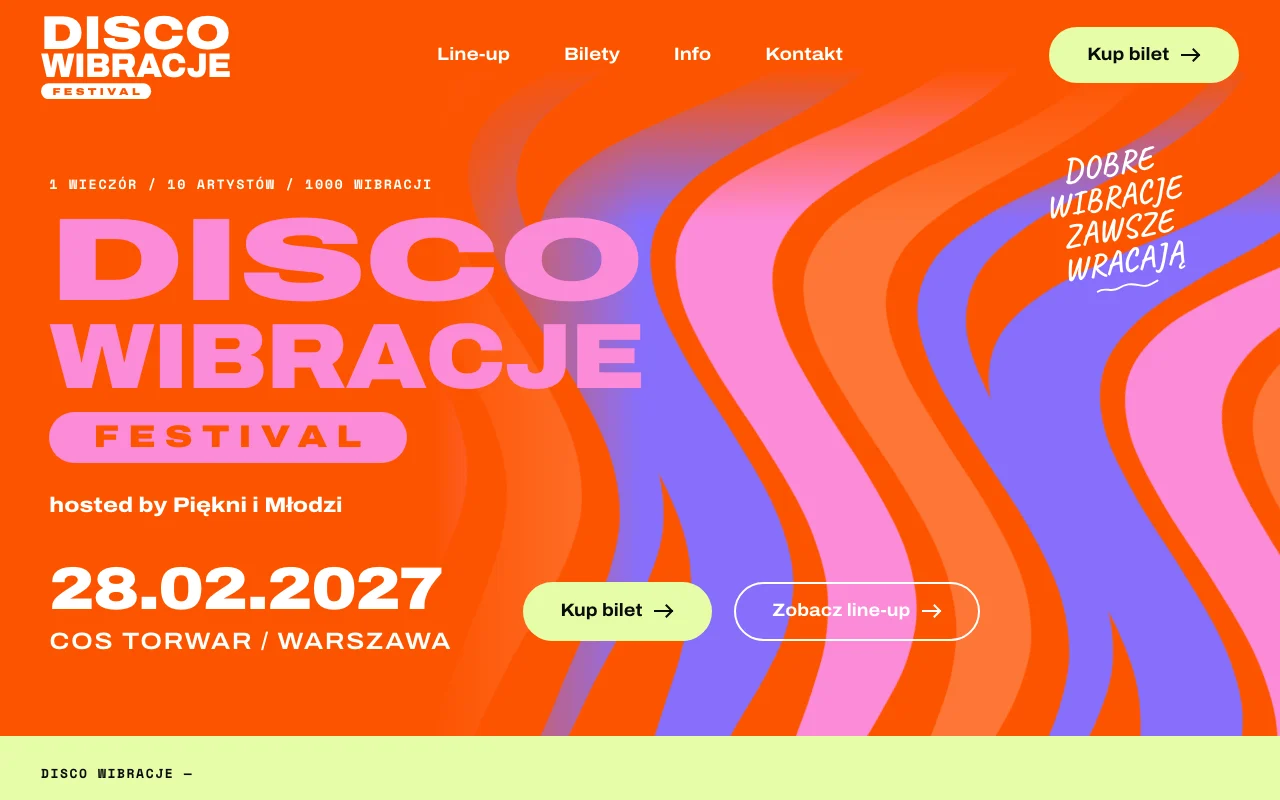 Strona Disco Wibracje na komputerze